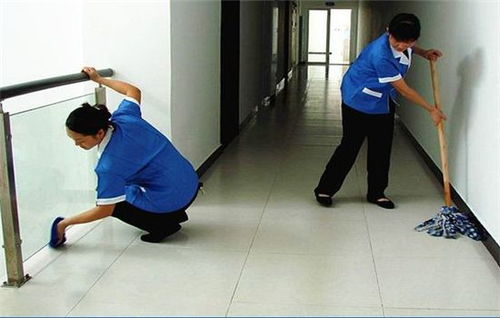 專業(yè)家政服務(wù)專家 莉莉家政，為您提供全方位清洗與保潔解決方案